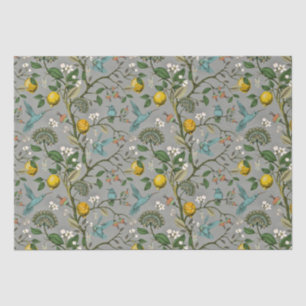 Papier Mousseline Papier mousseux