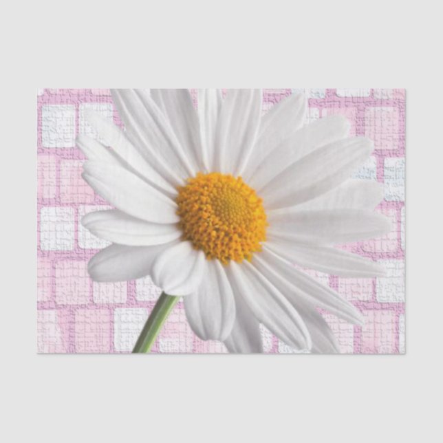 Papier Mousseline Papier papier sur la Saint-Valentin (Recto)