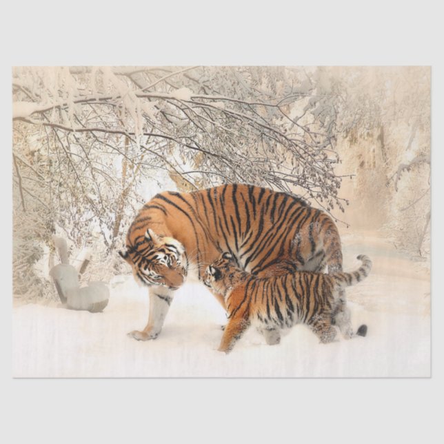 Papier Mousseline papier tigre maman et tissu bébé (Recto)