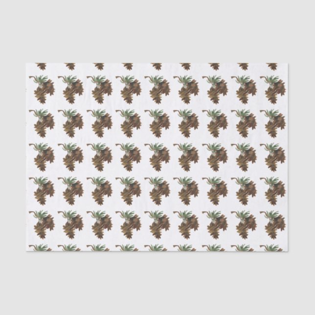 Papier Mousseline Papier Tissu Aquarelle Pine Cône (Recto)