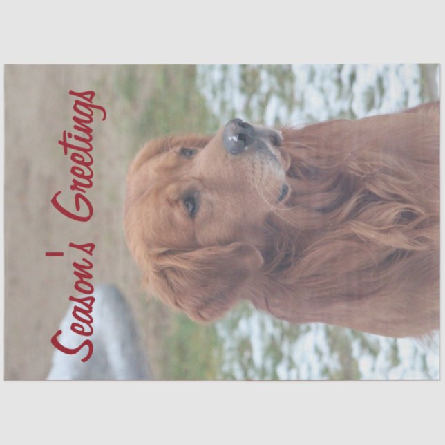 Papier Mousseline Papier Tissu Bonnes Fêtes pour chiens de grande ta (Recto)