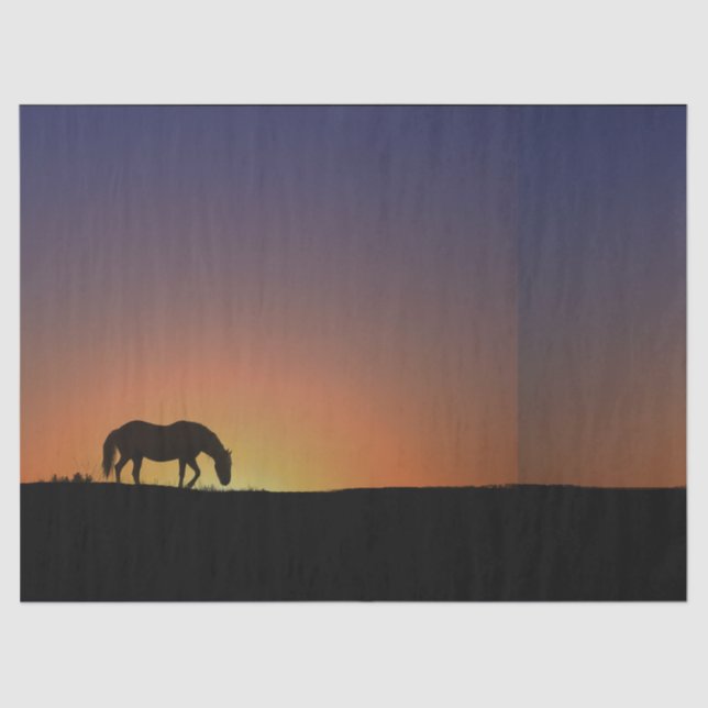 Papier Mousseline Papier Tissu Cheval (Recto)