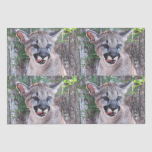 Papier Mousseline Papier Tissu Cougar Cub / Papier Découpage