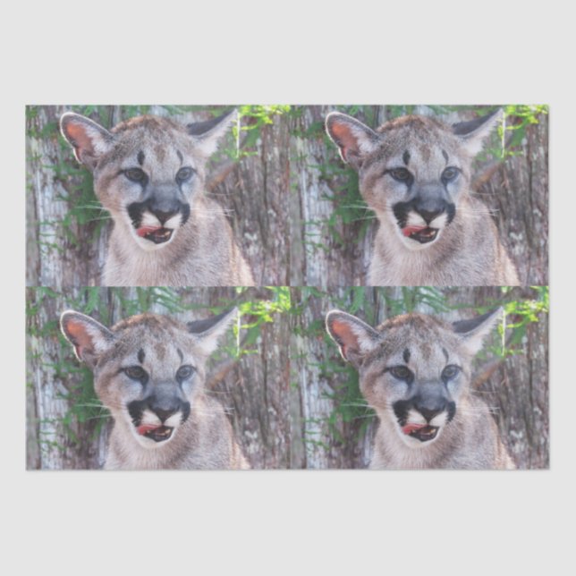 Papier Mousseline Papier Tissu Cougar Cub / Papier Découpage (Recto)