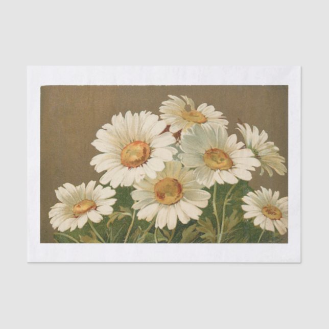 Papier Mousseline Papier Tissu Daisy vintage (Recto)
