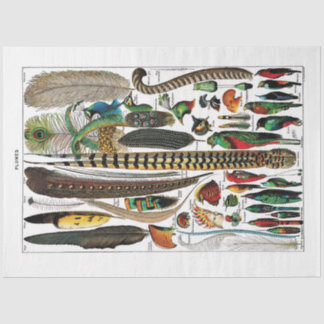 Papier Mousseline Papier Tissu De Plaque De Dictionnaire Français -