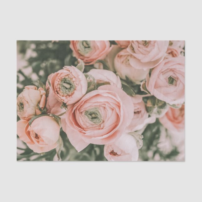 PAPIER MOUSSELINE PAPIER TISSU : FLEURS : PIVOINE (Recto)