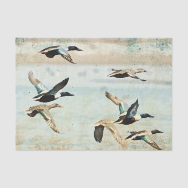 Papier Mousseline Papier Tissu Flying Ducks (Recto)