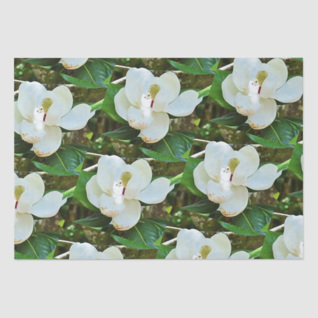 Papier Mousseline Papier Tissu Magnolia Blossoms (Recto)