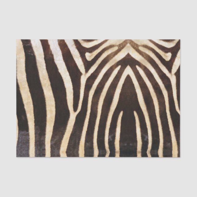 Papier Mousseline Papier Tissu Zebra Skin (Recto)