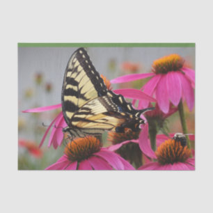 Papier Mousseline Papillon à queue jaune sur Echinacea