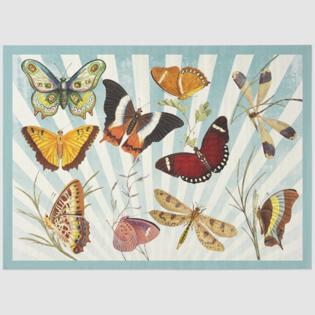 Papier Mousseline papillon coupé et collage papier de tissu (Recto)