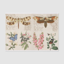 Papillon de libellule Fleurs de papillon