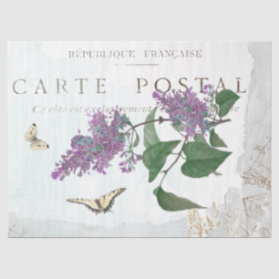 Papier Mousseline Papillon Fleur Lilac Carte Postale Bleu Peint