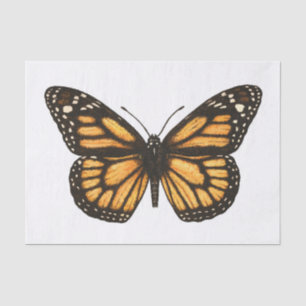 Papier Mousseline Papillon monarque