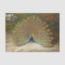 Papillon Peacock et Peacock, illustration artistiq