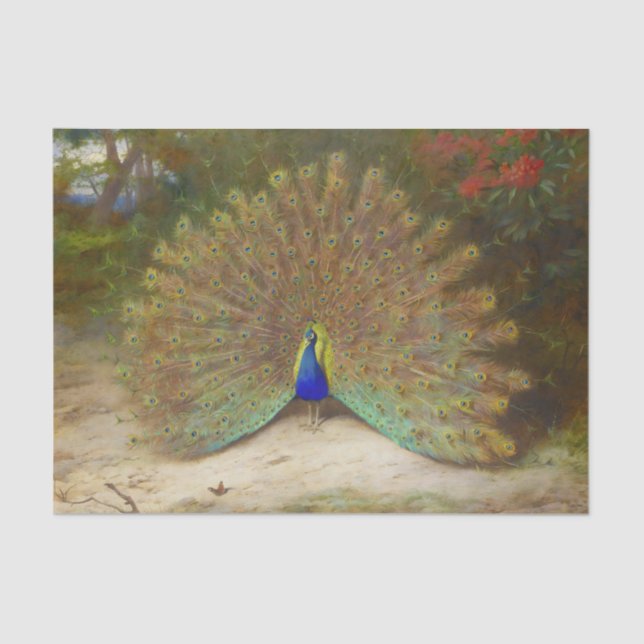 Papier Mousseline Papillon Peacock et Peacock, illustration artistiq (Recto)