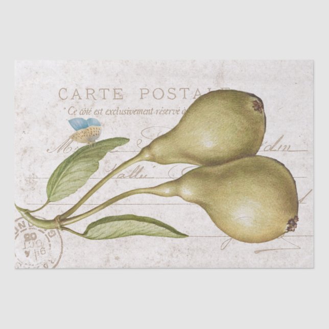 Papier Mousseline Papillon poire vintage Carte Postale Découpage (Recto)