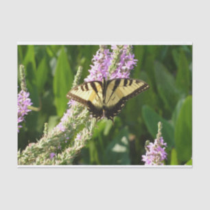 Papier Mousseline Papillon Swallowtail sur Fleurs sauvages pourpres