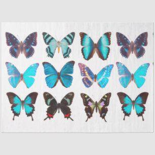 Papier Mousseline Papillons bleus Collection Papillons Découpage