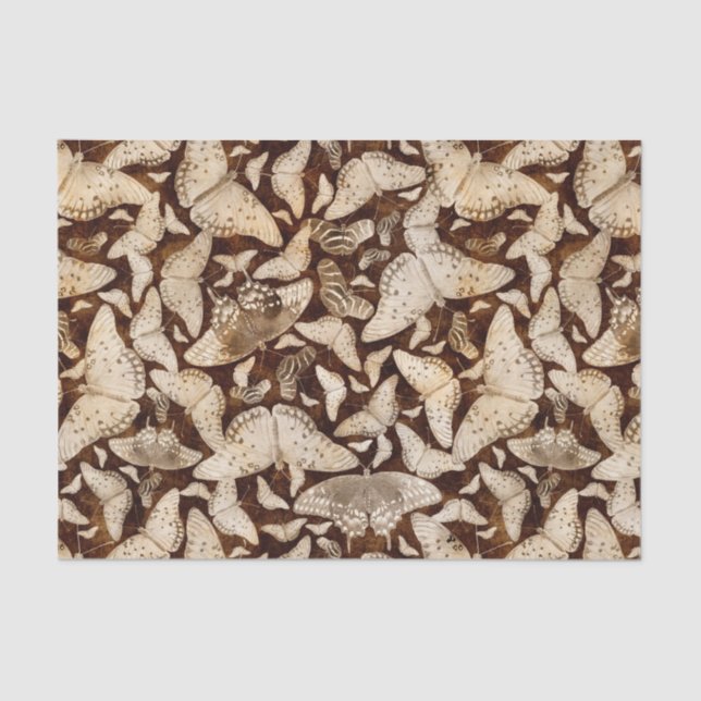 Papier Mousseline Papillons Brown et beiges (Recto)