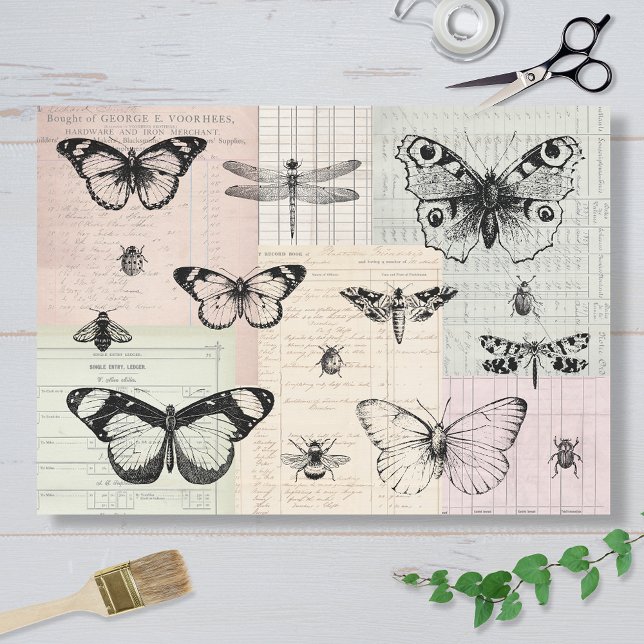 Papier Mousseline Papillons et insectes (Créateur téléchargé)