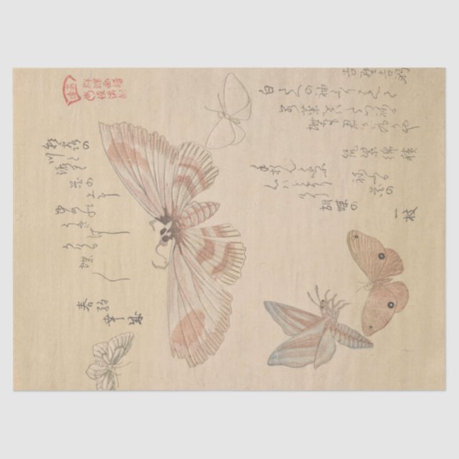 Papier Mousseline Papillons et papillons de nuit par Kubo Shunman (Recto)