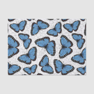 Papier Mousseline Papillons morpho bleu