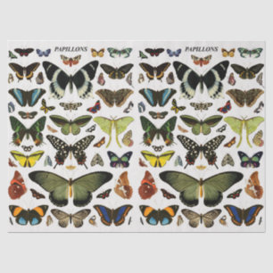 Papier Mousseline Papillons vintages Motif Collage Découpage