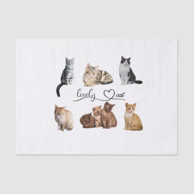 Papier Mousseline paquet de chats, paquet de chats amusants (Recto)