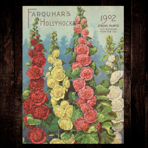Papier Mousseline Paquet de graines Rouge Orange 1902 Hollyhocks Vin