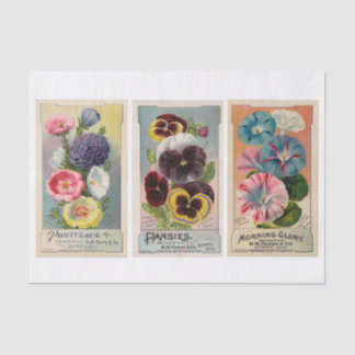 Papier Mousseline Paquets Vintages de semences de fleurs authentique