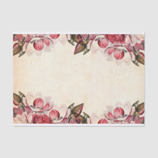 Papier Mousseline Parchemin Frontalier rose Magnolia (Recto)