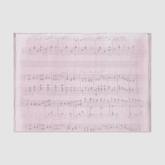 Papier Mousseline Partitions sur un fond rose pâle (Recto)