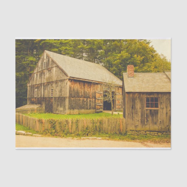 Papier Mousseline Patinée maman grange avec son bébé grange (Recto)