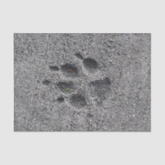 Papier Mousseline Pattes d'animal familier en ciment - toujours là