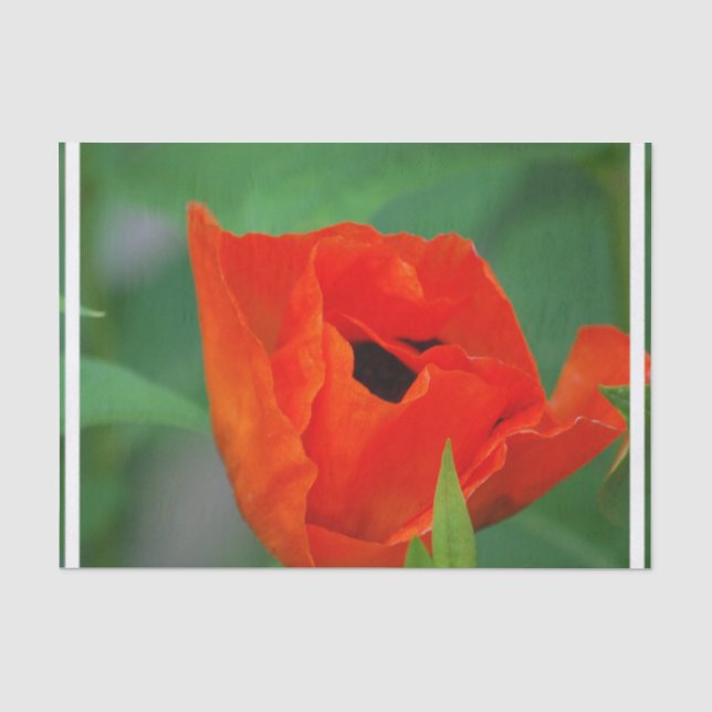 Papier Mousseline Pavot orange vibrant (Recto)