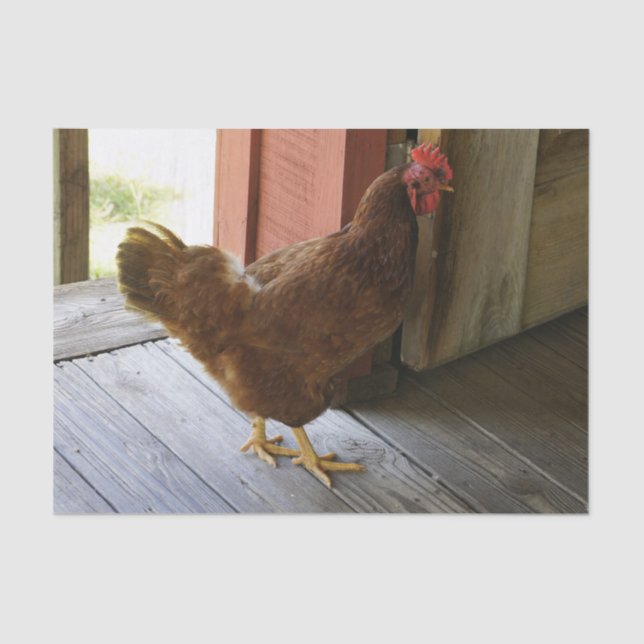 Papier Mousseline Pays (Recto)