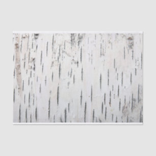 Papier Mousseline Pays Barre rustique de bouleau