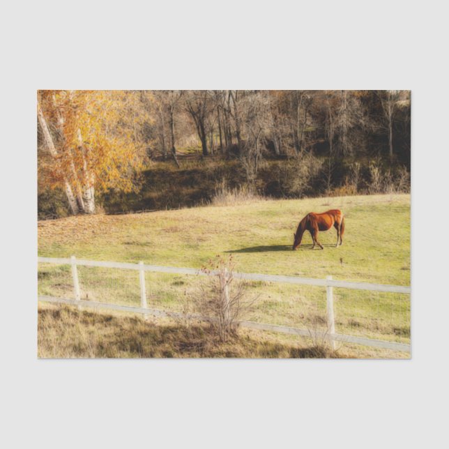 Papier Mousseline Pays Cheval Rustique Automne Découpage (Recto)