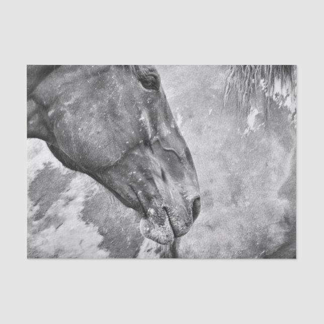 Papier Mousseline Pays Cheval Rustique Decoupage Noir Et Blanc (Recto)