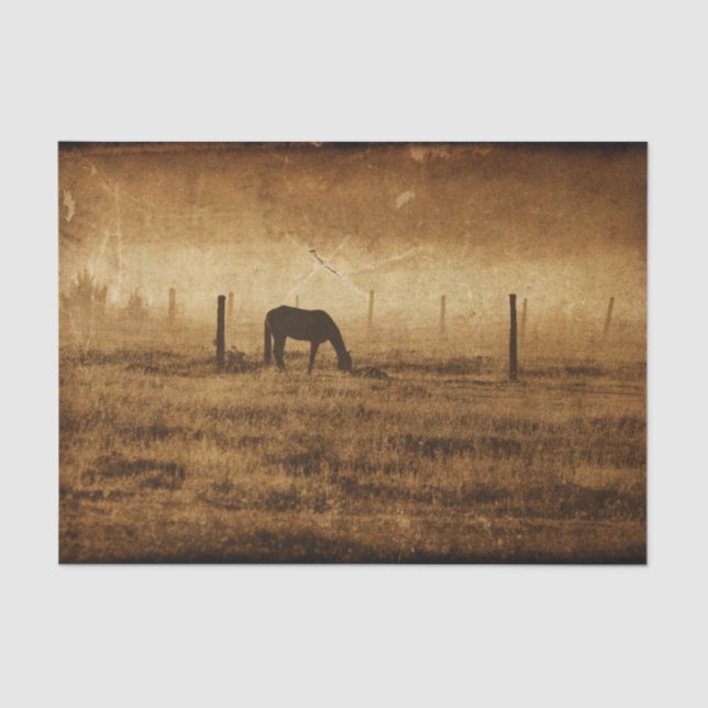 Papier Mousseline Pays Cheval Rustique Texture Vintage Découpage (Recto)