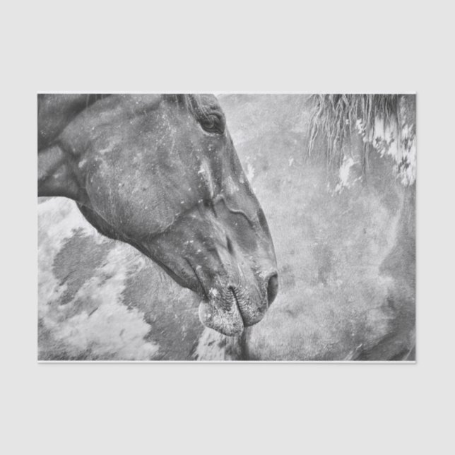 Papier Mousseline Pays du cheval Découpage rustique noir et blanc (Recto)