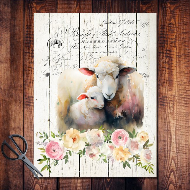 Papier Mousseline Pays Français Floral Dorper Sheep (Créateur téléchargé)