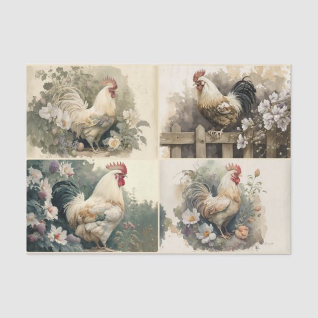Papier Mousseline Pays français Poulets (Recto)