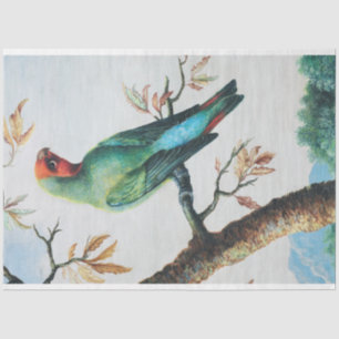 Papier Mousseline Pays vintage France Tropical Bird Decoupage