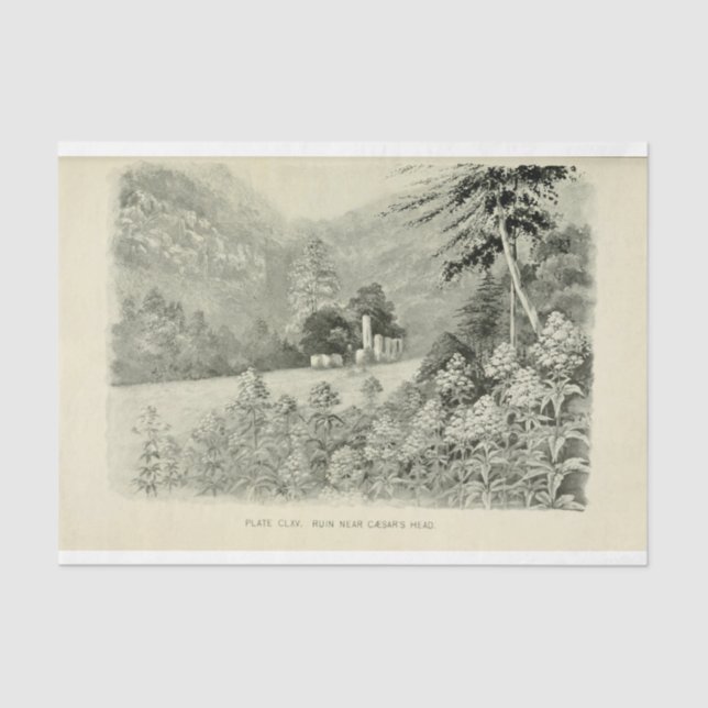 Papier Mousseline Paysage Fleurs de montagne Ephémère Découpage (Recto)