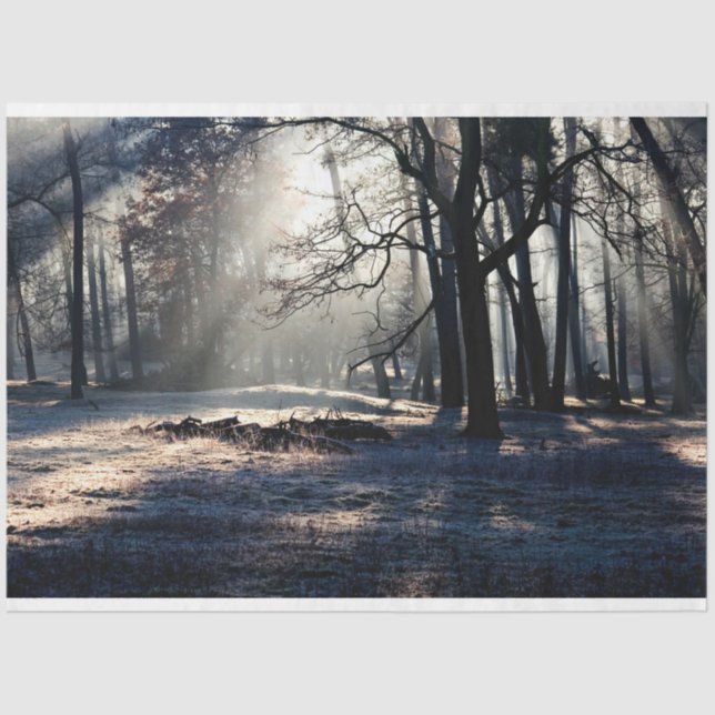 Papier Mousseline Paysage forestier 23 Feuillet de papier de découpa (Recto)