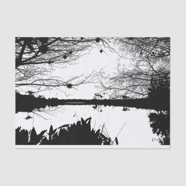 Papier Mousseline Paysage noir et blanc (Recto)