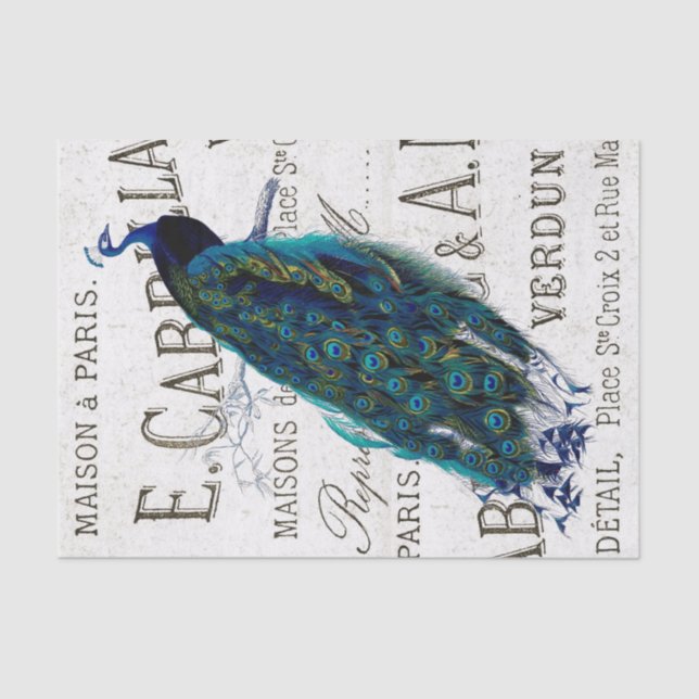 Papier Mousseline Peacock Bird Script français Ephemera Decoupage (Recto)